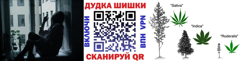 Купить закладки  Белоусово  Каннабис сатива 